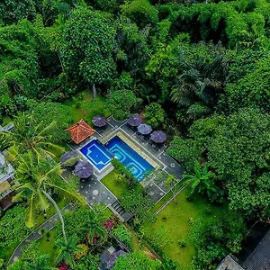 Alas Petulu And 4*, Ubud Indonézia